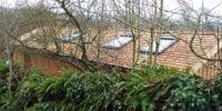 Garden office roof with Veluxes